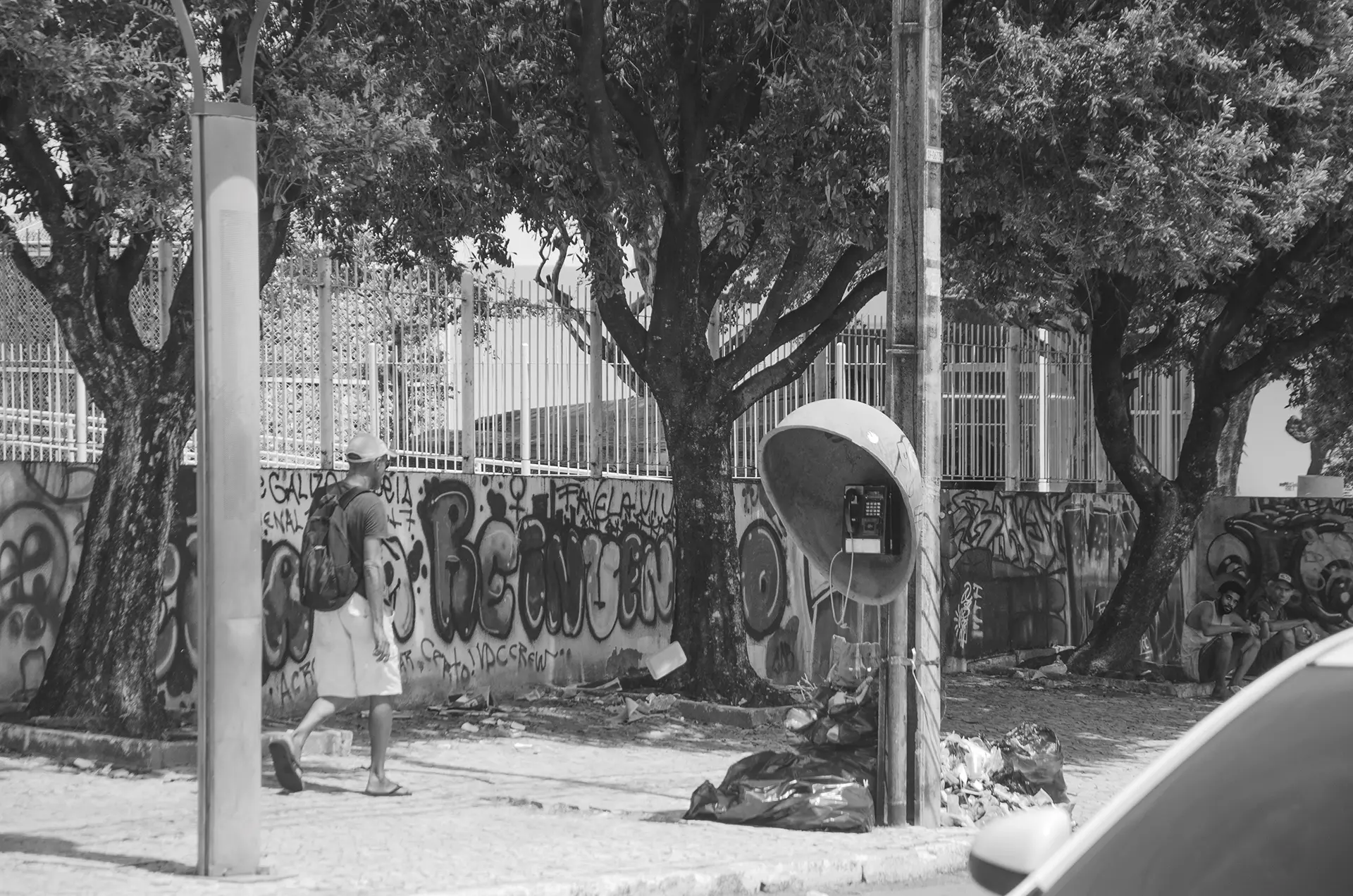 Fotografia em tons de cinza de um muro todo pixado atrás de árvores em uma rua no Centro de Fortaleza