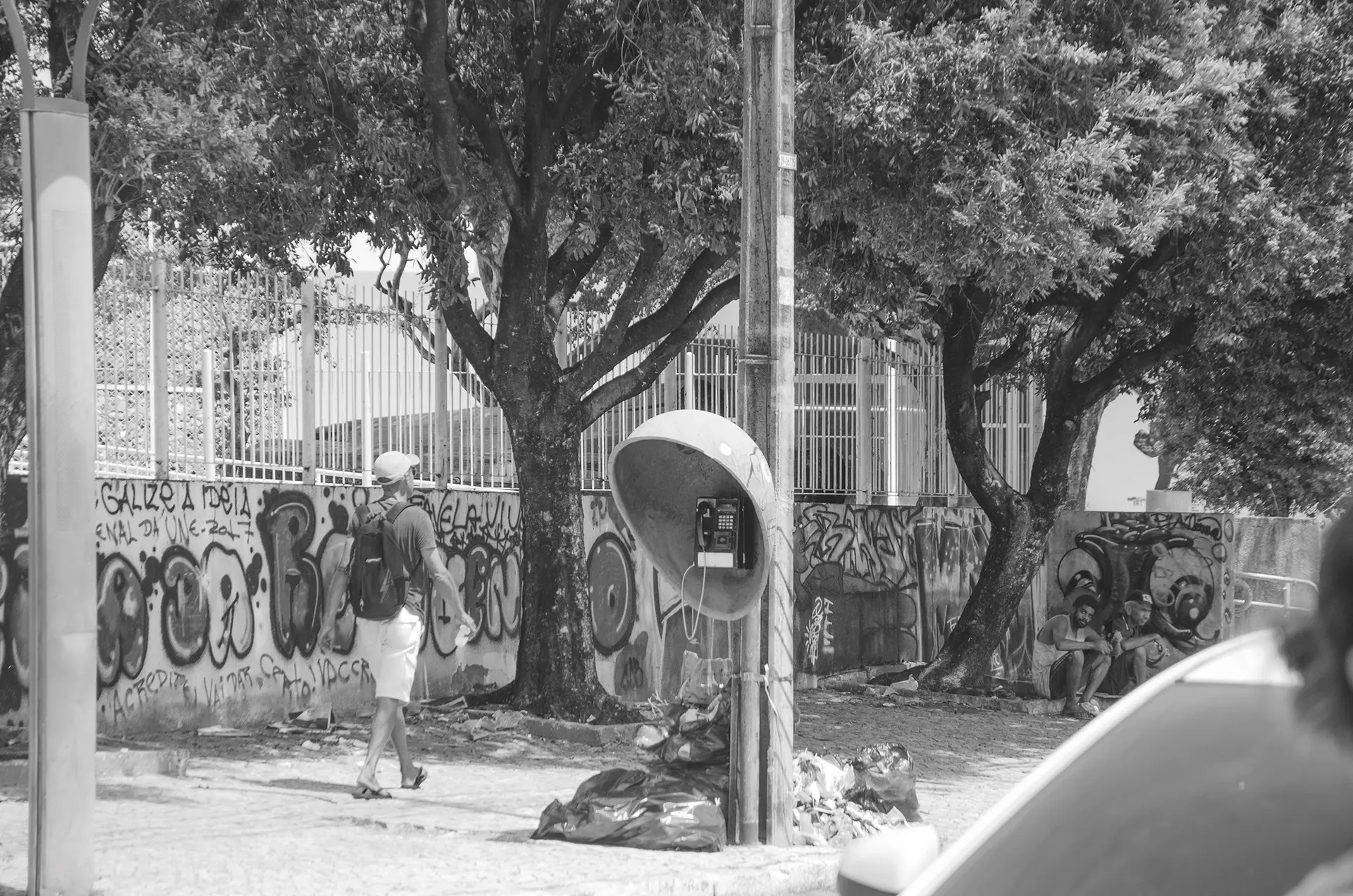 Fotografia em tons de cinza de um muro todo pixado atrás de árvores em uma rua no Centro de Fortaleza